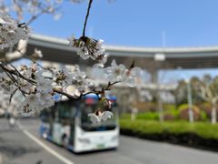 -南浦大桥长途旅游客运站
