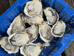 -新农都水产市场