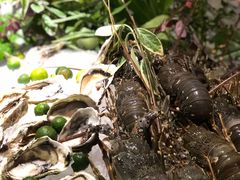 -杭州桐庐康莱德酒店西餐厅-舍