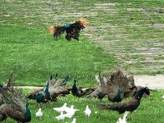 -哈尔滨北方森林动物园