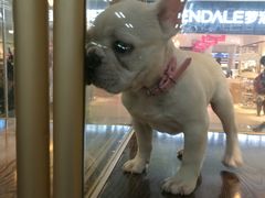 -乐宠宠物店(世纪金源店)