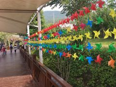 -泉州海丝野生动物世界