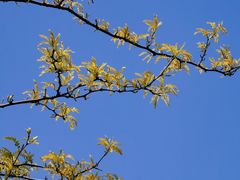 -白塘生态植物园