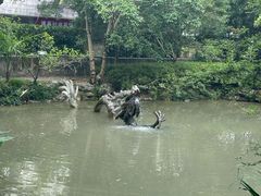 -汇龙潭