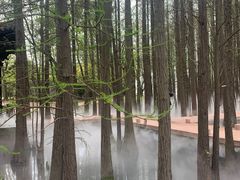 -东湖落雁景区
