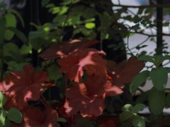 -T-COFFEE(长江花园店)