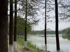 -长广溪湿地公园