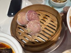 -山海菜馆·海肠捞饭·青岛菜(栈桥店)