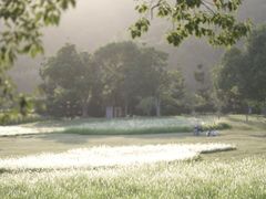 -福建鲤鱼洲酒店