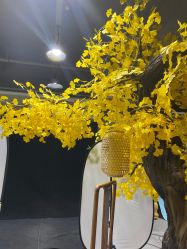 -盘子女人坊古装写真摄影