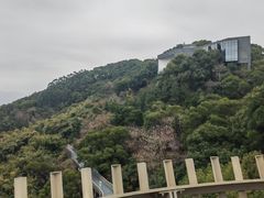 -福道
