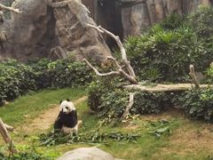 -香港海洋公园
