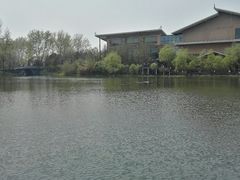 -溱湖国家湿地公园