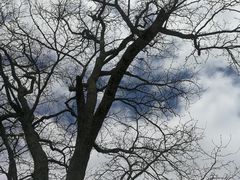 -萝卜寨羌文化生态旅游区