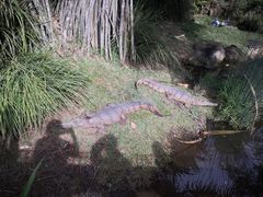 -可伦宾野生动物保护区