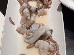 -高佳庄·舟山海鲜(海景旗舰店)