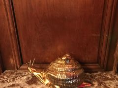 -金蜗牛