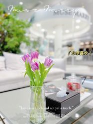 -MuseMarry婚纱(前海嘉里中心店)