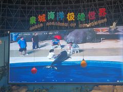 -泉城欧乐堡海洋极地世界
