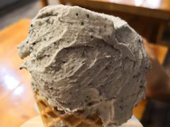 黑芝麻冰淇淋-野人牧坊Gelato(天津南开大悦城店)