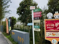 -上海长兴岛郊野公园