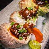 没有想到我白某人也有实现刺身自由的一天！！