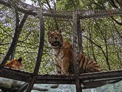 -宁波野生动物园