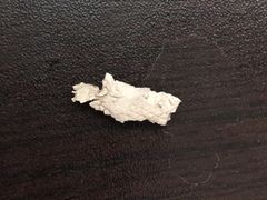 -宠颐生中康贝怡动物医院