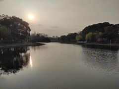 -新江湾城公园