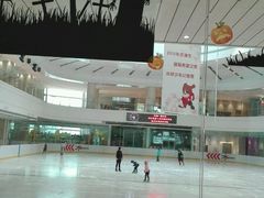 -陈露国际冰上中心(天津嘉里汇店)
