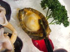 六头鲍鱼-捞围鲜·港式打边炉(海阳路店)