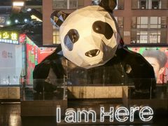 -成都天府丽都喜来登饭店