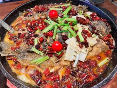 -老板恋上鱼(荣盛广场店)