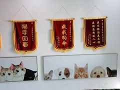 -爱侣宠医·鹦鹉专科·小型哺乳类·异宠专科(灵石路店)