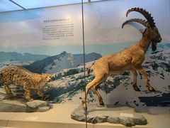 -重庆自然博物馆(新馆)