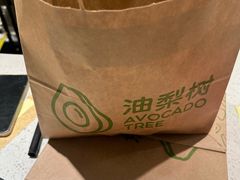 -油梨树 AVOCADO TREE(亮马桥店)