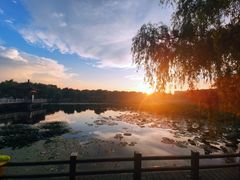 -长春市南湖公园