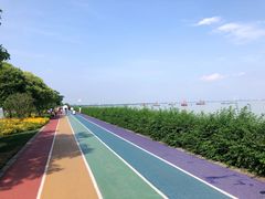 -贡湖湾湿地公园