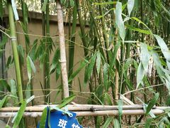 -竹子庵公园