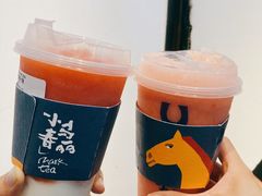 -春丽小马(济南恒隆广场店)