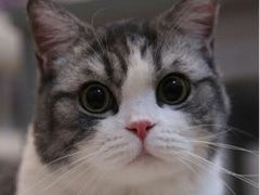 -猫屎咖啡(日月光中心广场店)