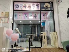 -欣怡宠物店