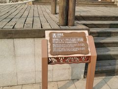 -大湾区中央湿地公园