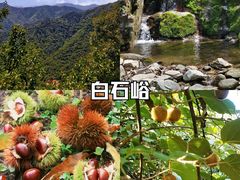 -秦岭风景区