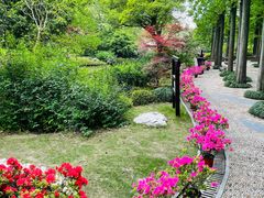 -上海醉白池公园