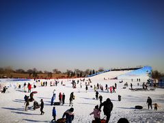 -绿野森林乐园冰雪季