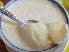 原味顺德双皮奶-民信老铺(华盖路店)