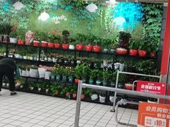 -大润发(康桥店)