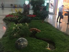 -福州长乐国际机场