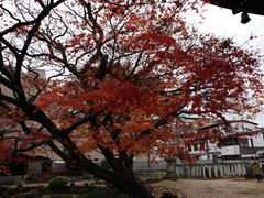 -医王山·飞騨国分寺